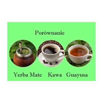 1.	Yerba mate vs guayusa vs kawa – która daje najlepszą energię? Zalety i wady.